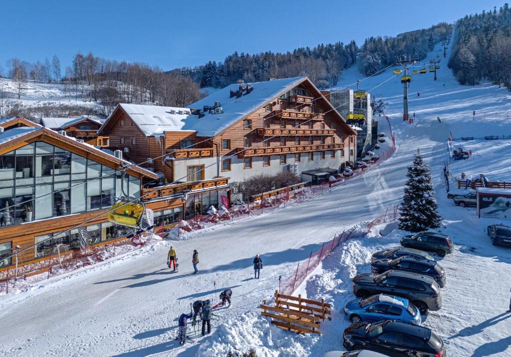 Lợi ích triệt lông mùa đông