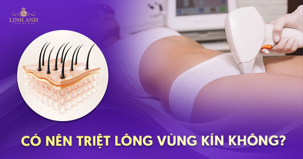 lông vùng bikini đặc tính